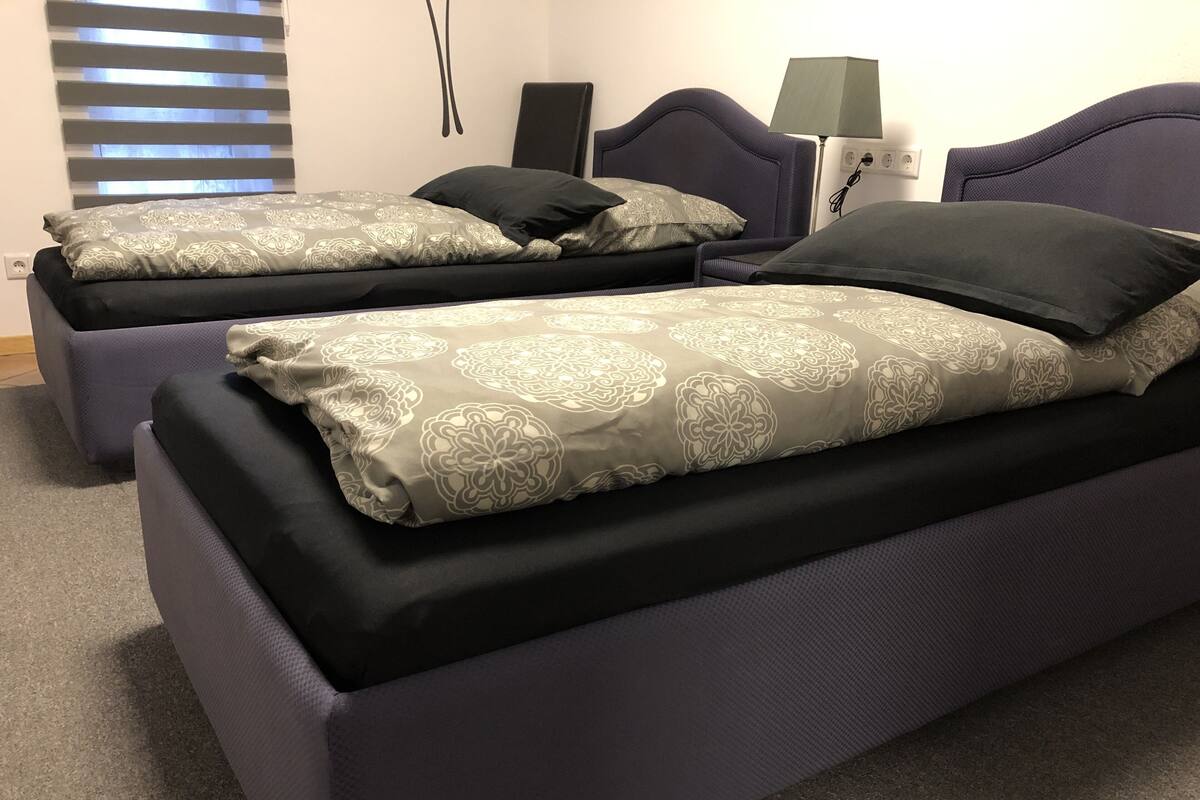 A room with two beds, each with a patterned bedspread and pillows.