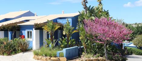 A blue building with a tiled roof, surrounded by various plants and a stone pathway.