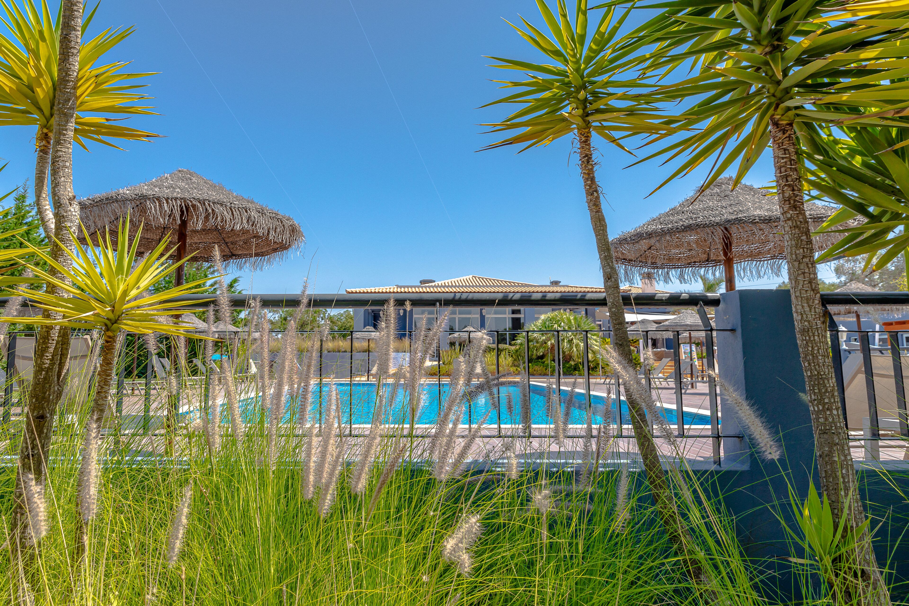 Una piscina al aire libre, sombrillas, tumbonas