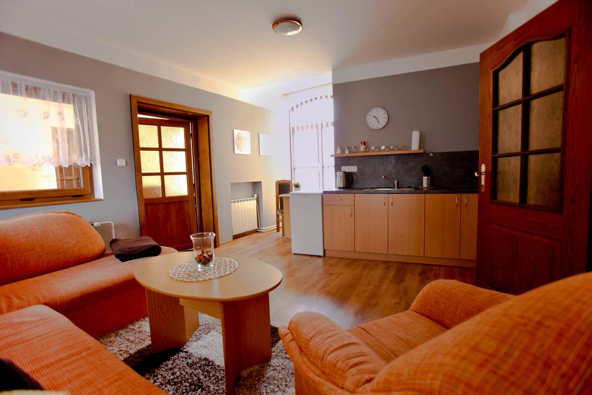 Apartamento luxo, 2 quartos, terraço | Área de estar | TV 57 cm com canais via satélite