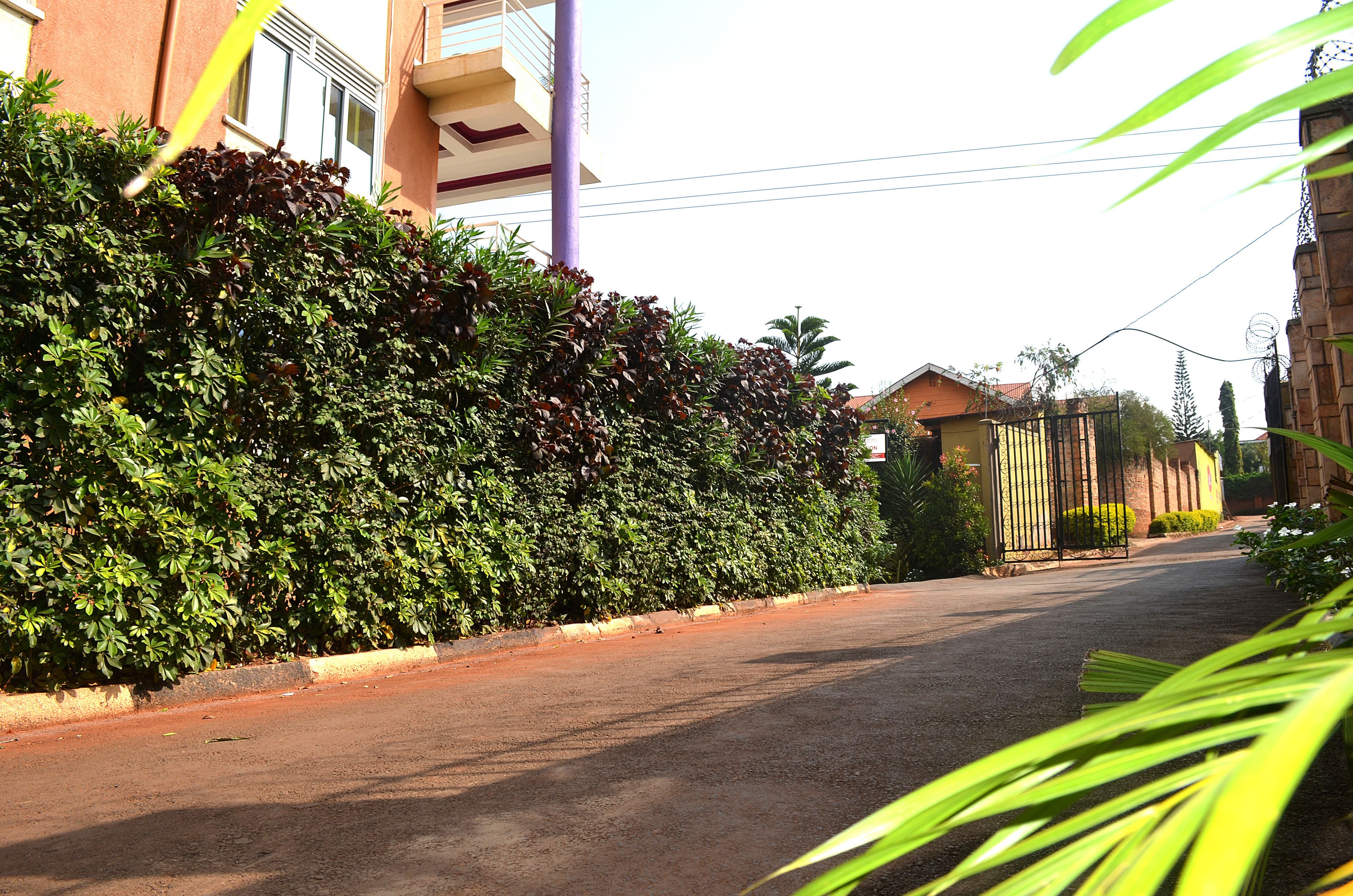 Uma rua residencial com um conjunto de cercas vivas bem cuidadas, uma entrada com portão e um edifício com varanda.