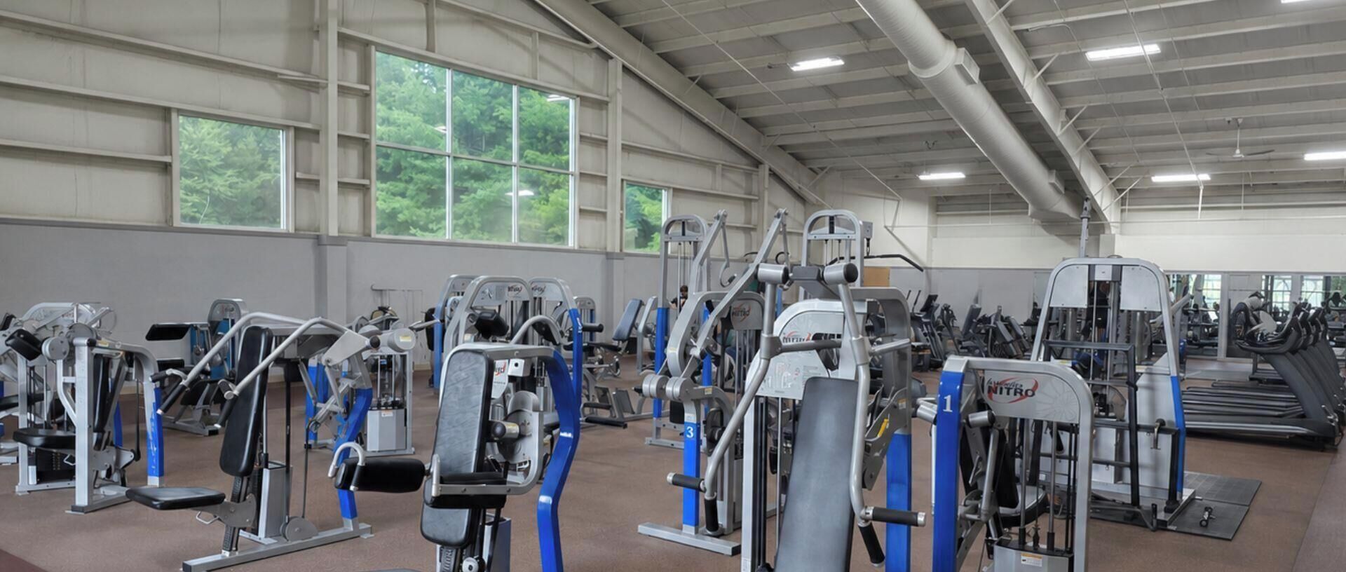 A gym with various exercise machines and treadmills.