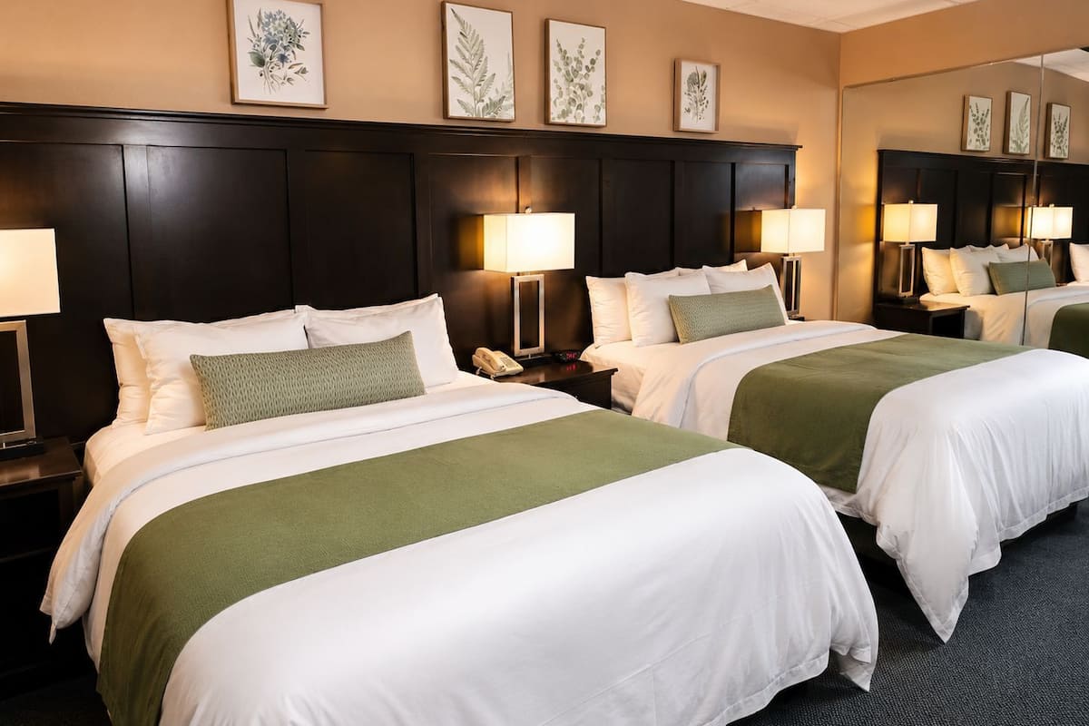 Comfort Quadruple Room, 2 Queen Beds | WiFi (free), bed sheets