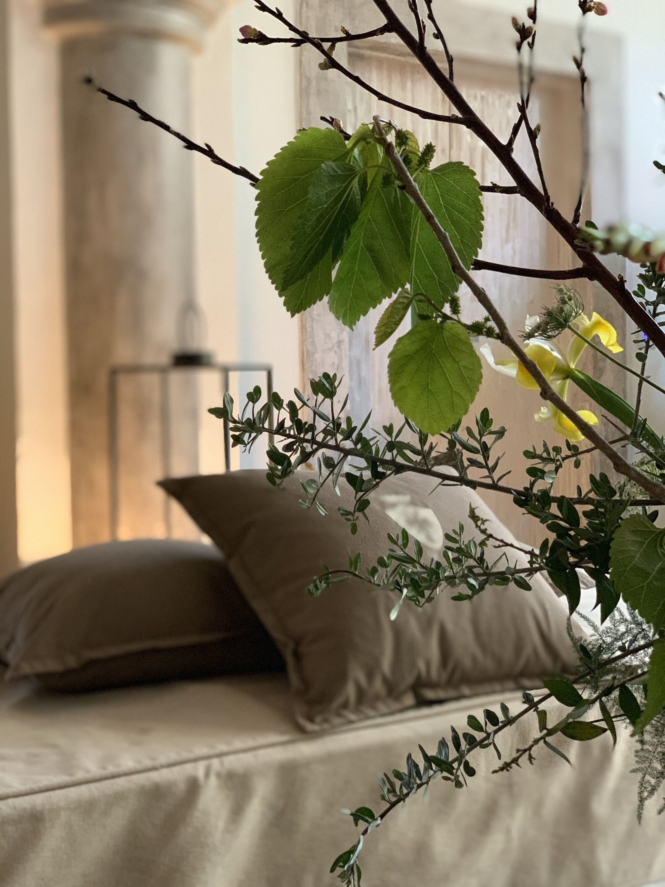 A bed with a beige cover, a pillow, and a plant with green leaves and yellow flowers in the foreground.