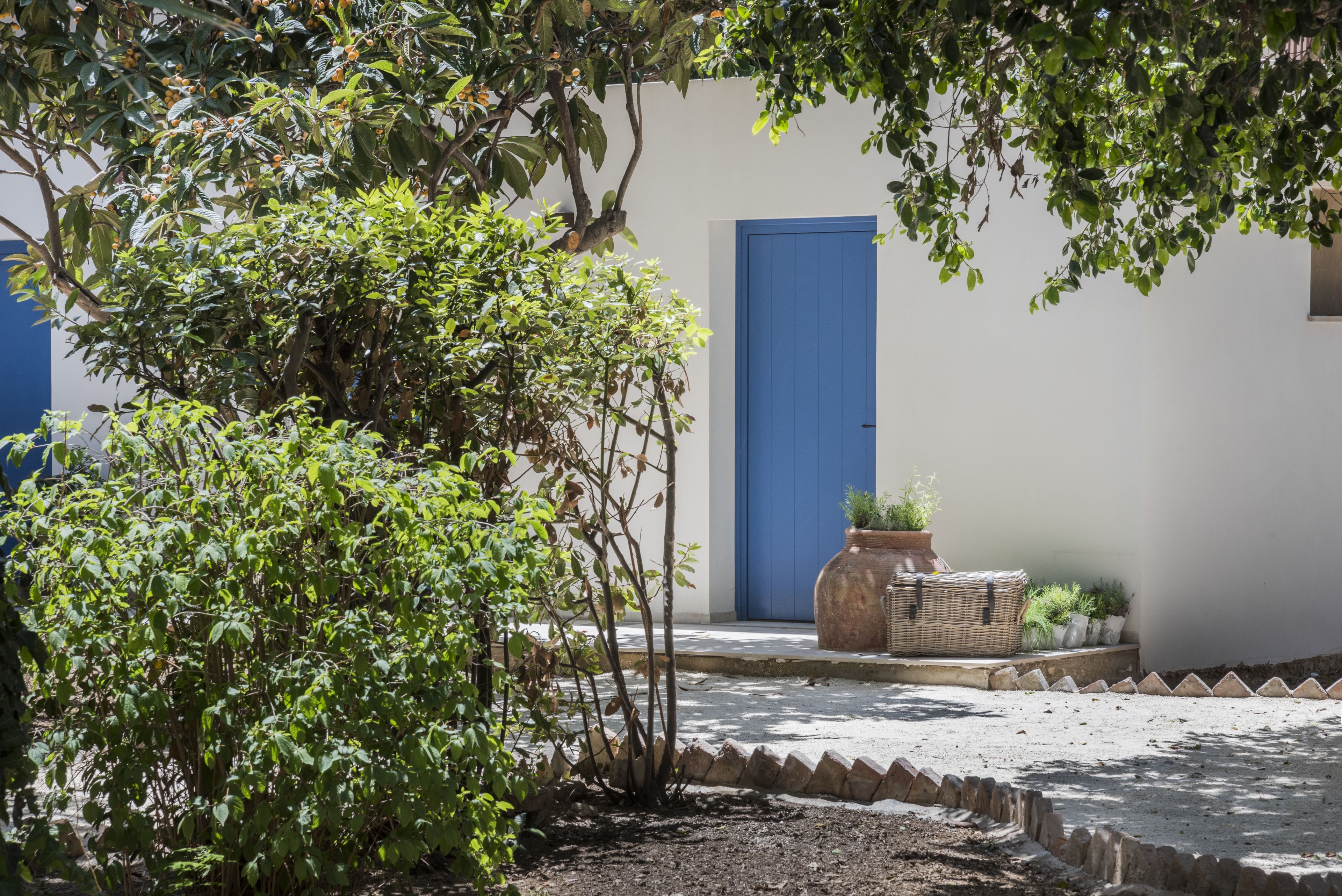 A courtyard with a tree, a blue door, and a planter with plants.