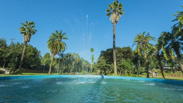 A clear blue sky, a fountain spraying water, and tall palm trees around a pool. - Ghion Hotel (Addis Ababa)