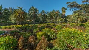A landscaped garden with palm trees and flowering plants. - Ghion Hotel (Addis Ababa)