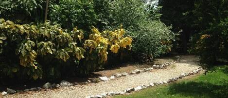 A garden with a gravel path bordered by rocks and grass.