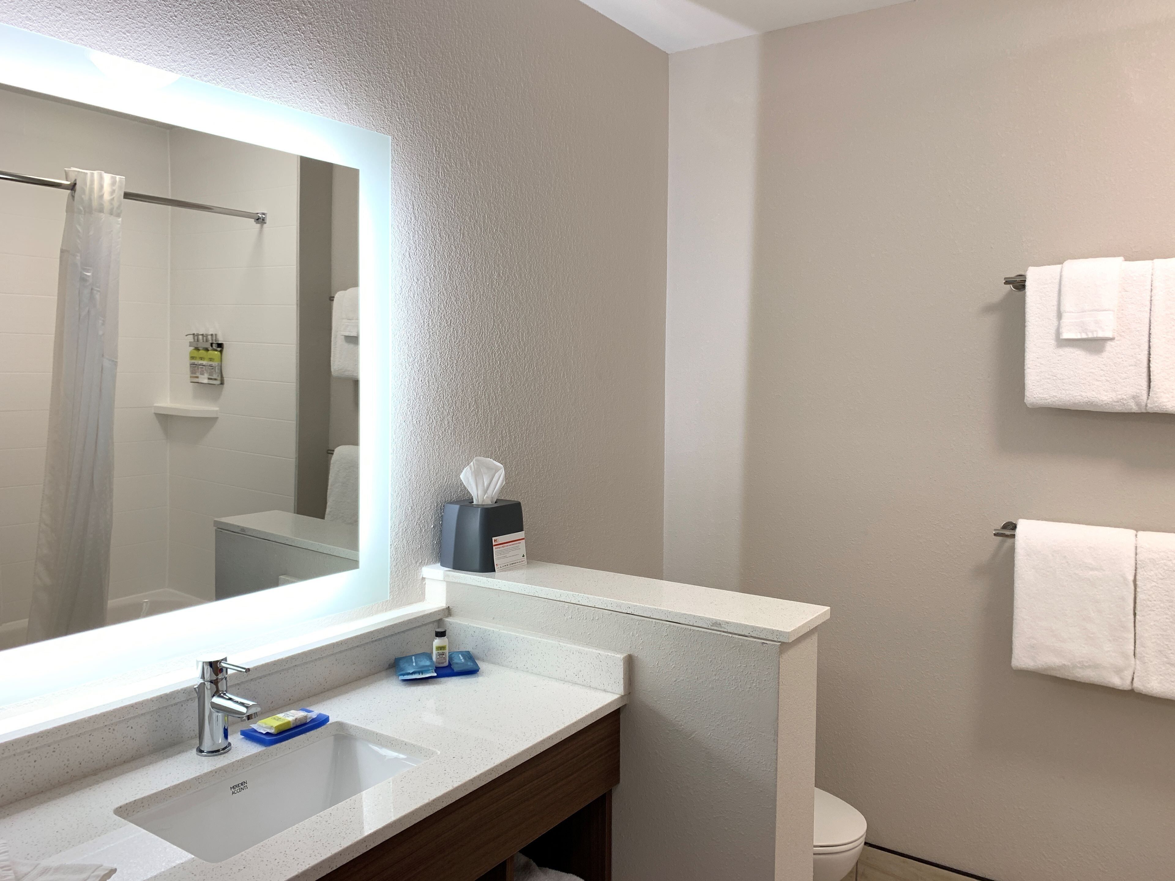 Un bany amb un mirall gran, un lavabo, un vàter i un portaTo soles.