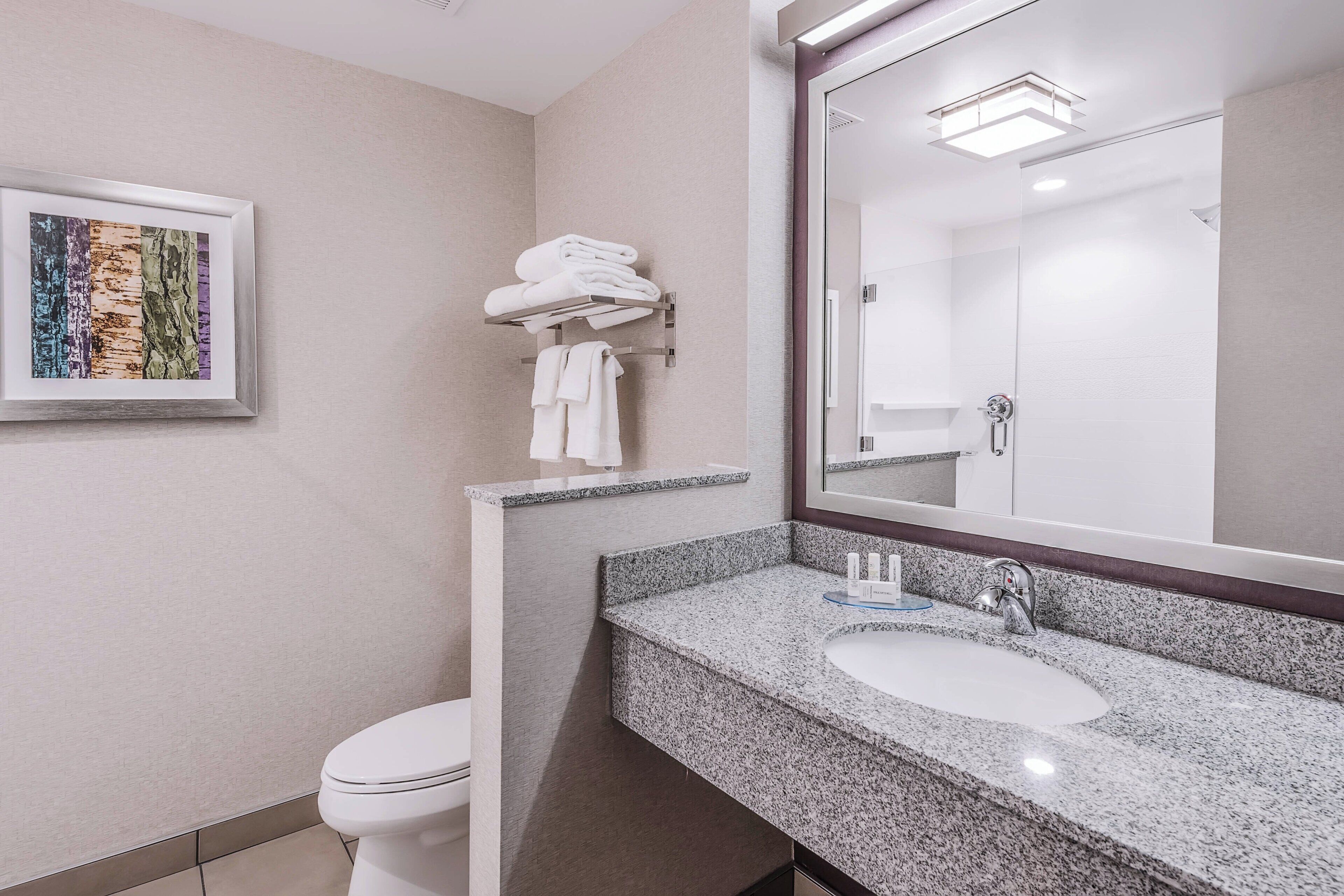 executive room, 1 king bed | bathroom | combined shower/bathtub, free toiletries, hair dryer, towels