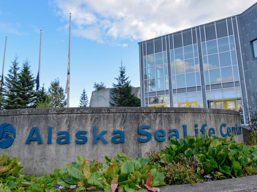 Vue depuis l’hébergement