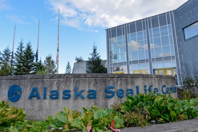 Brown and Hawkins Historical Apartments