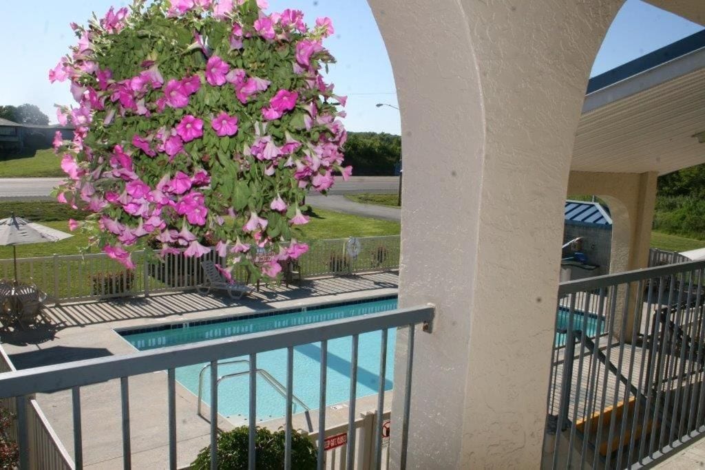 Una piscina con barandilla metálica, un área techada con un banco y una planta grande con flores.