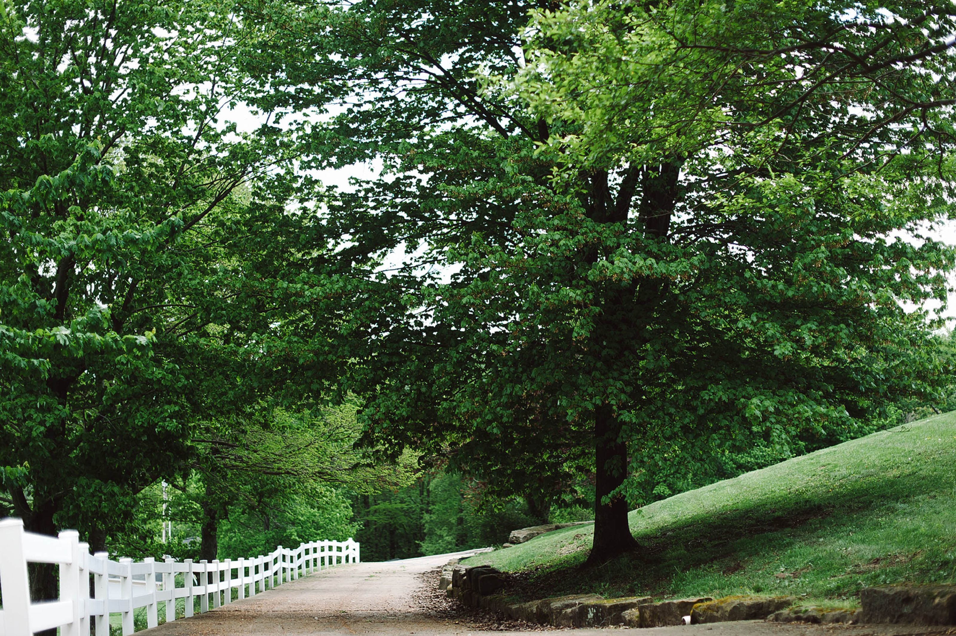 Un sentier bordé de clôtures blanches et de grands arbres, qui traverse un espace aménagé comme un parc.