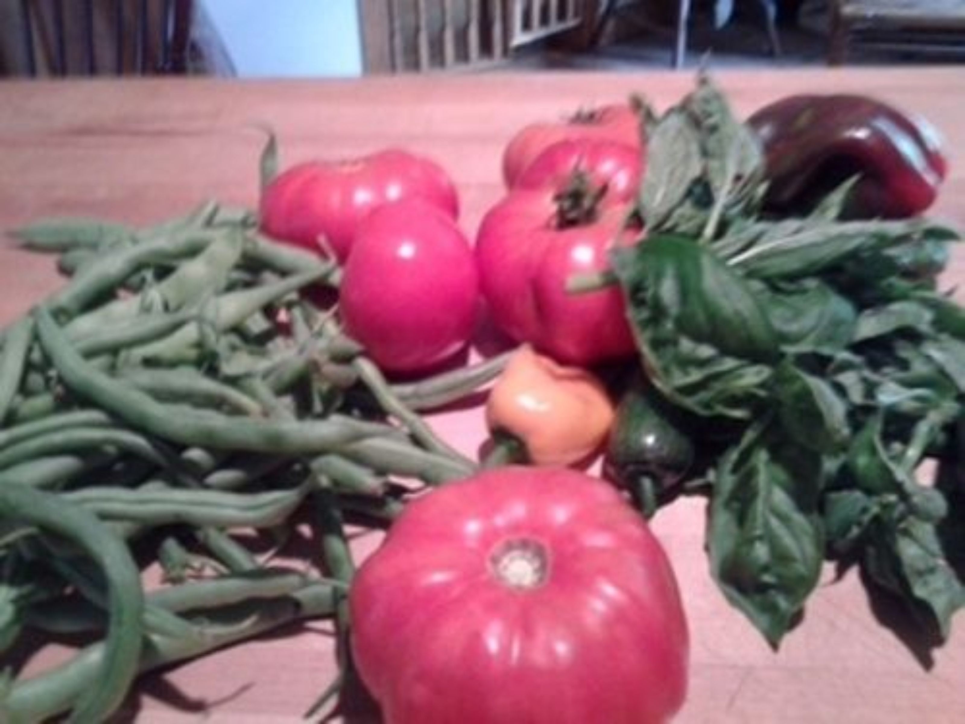 Une variété de légumes, notamment des tomates, des haricots verts et des épinards, disposés sur un plan de travail.