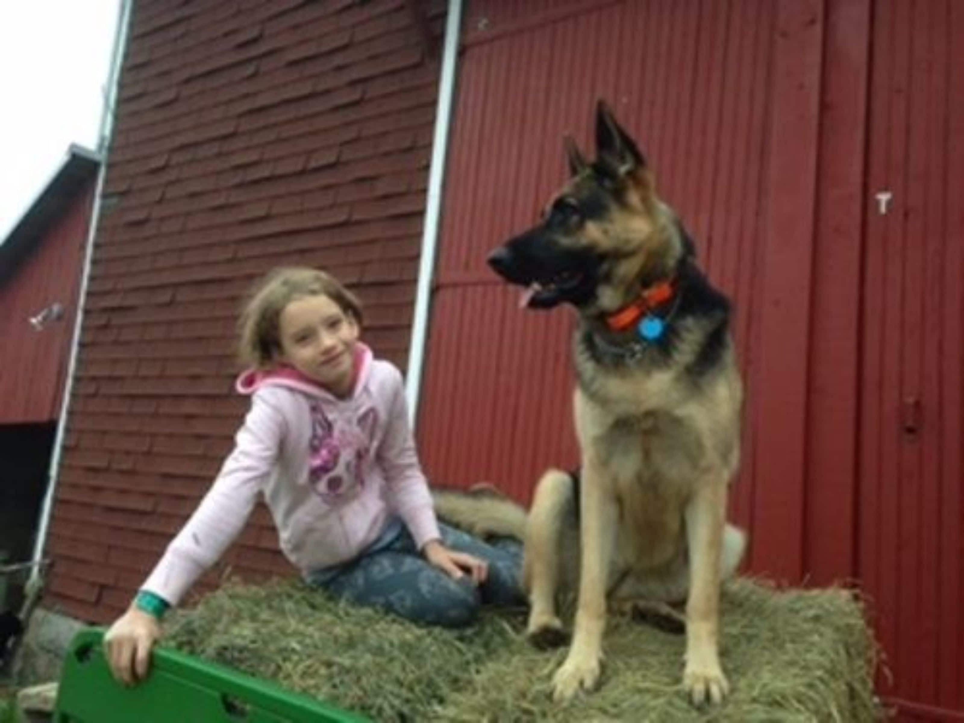 A child sitting on hay next to a large dog.