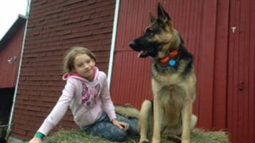 A child sitting on hay next to a large dog.