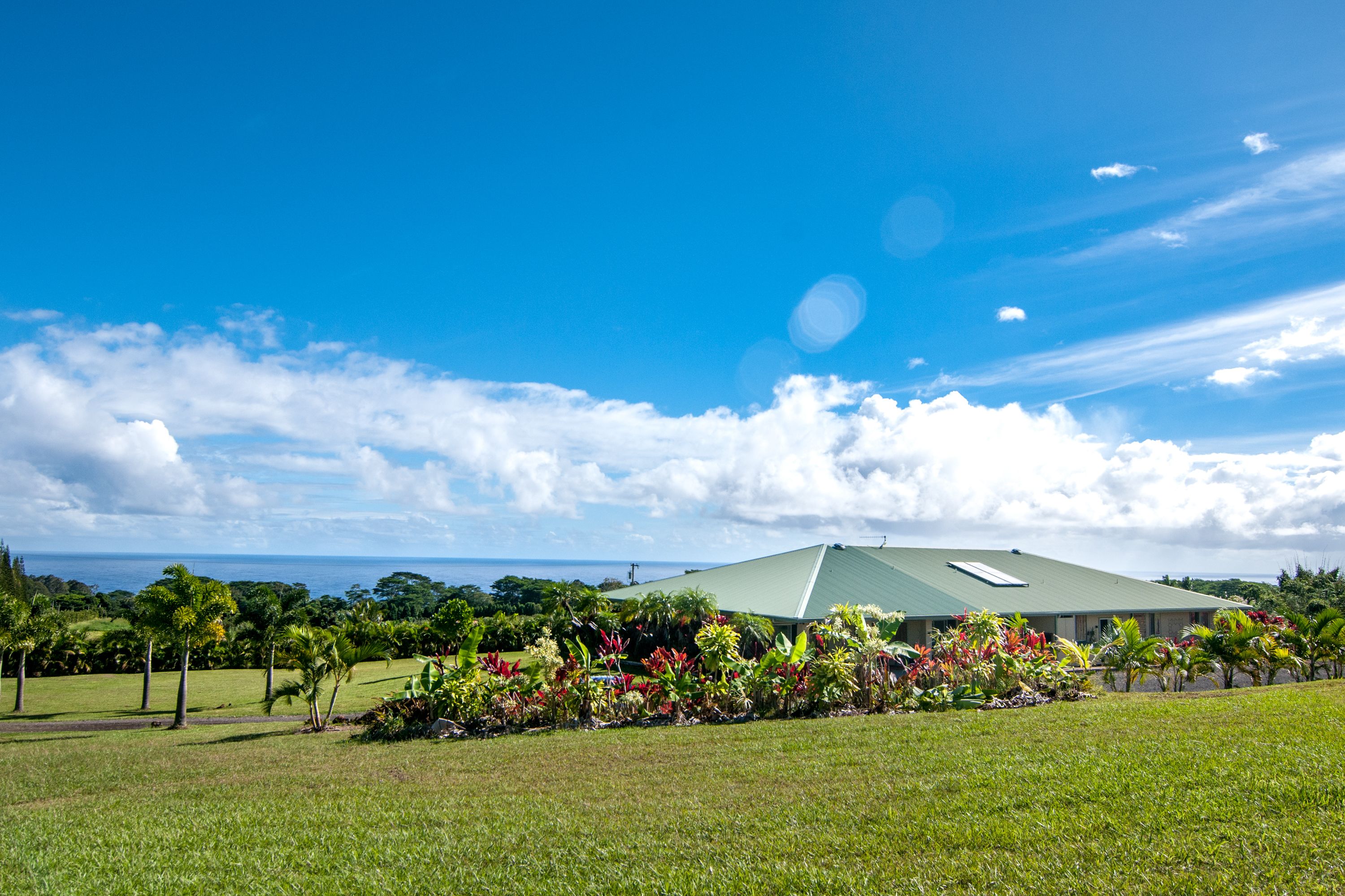 A building with a green roof, surrounded by lush greenery and a clear blue sky.
