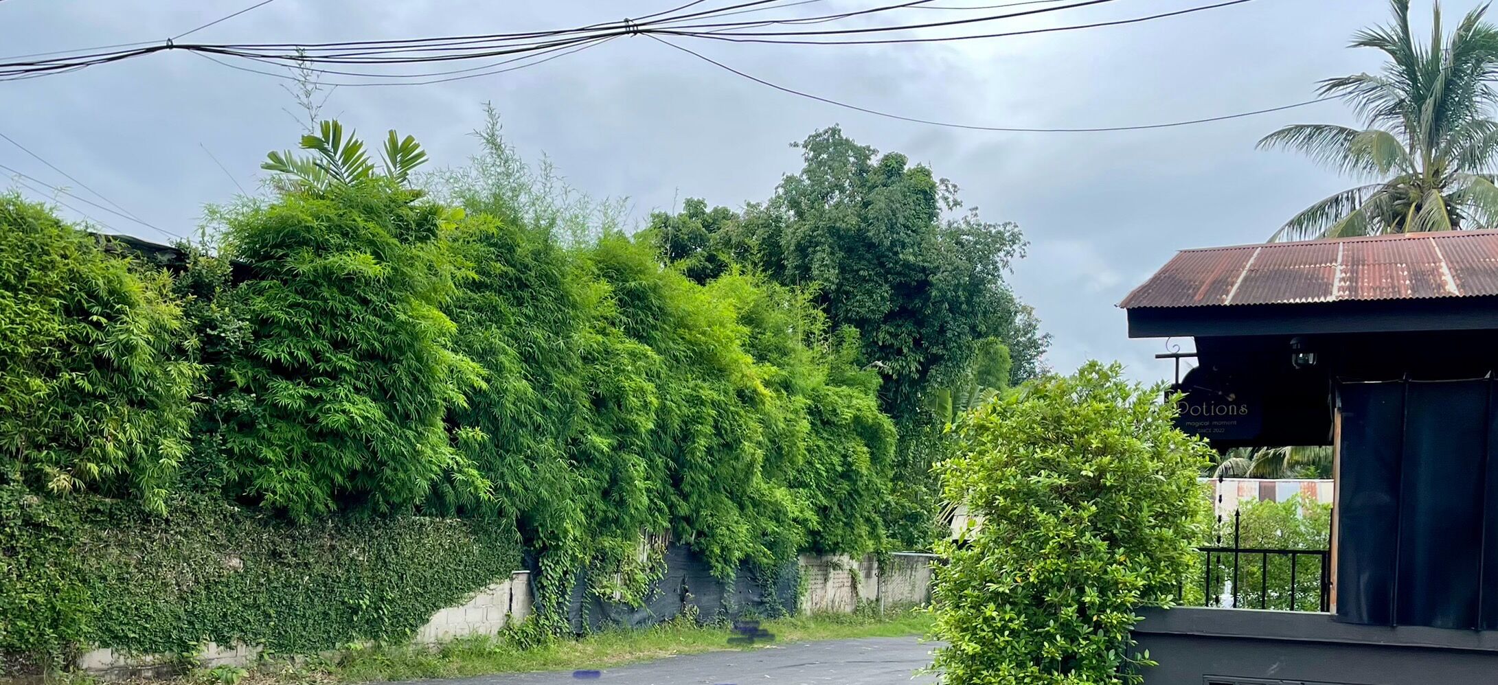 주차