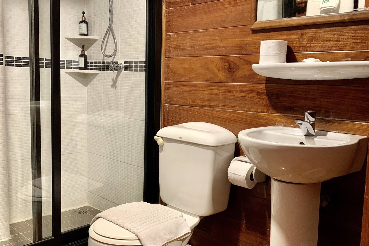 shower, free toiletries, hair dryer, slippers