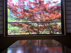 Japanese Room Semi-suite | View from room - Kawakamiya Kasuitei (Gero)