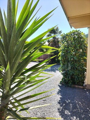 A parking area with a gravel surface, a palm tree, and a hedge. - Bay Cottages (Kaikoura)
