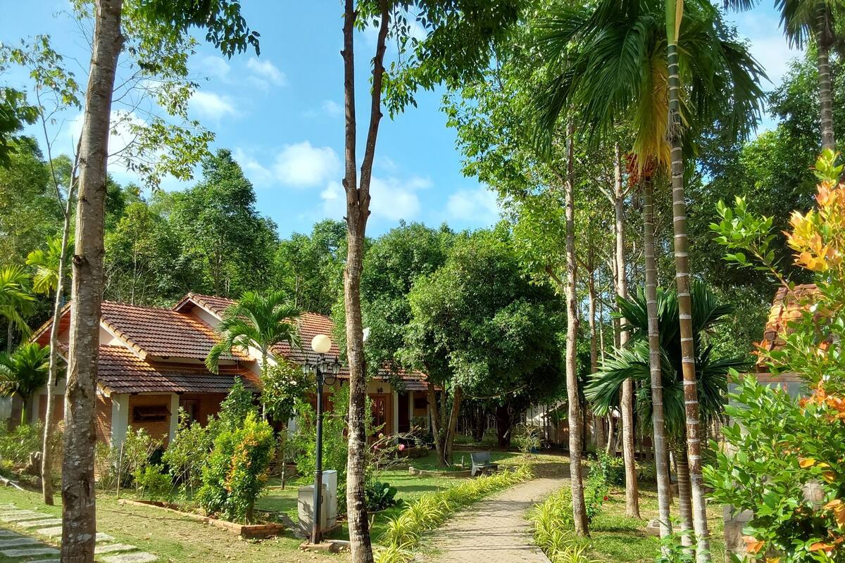 A pathway leading to a traditional-style building with a tiled roof, surrounded by lush greenery and tall trees.