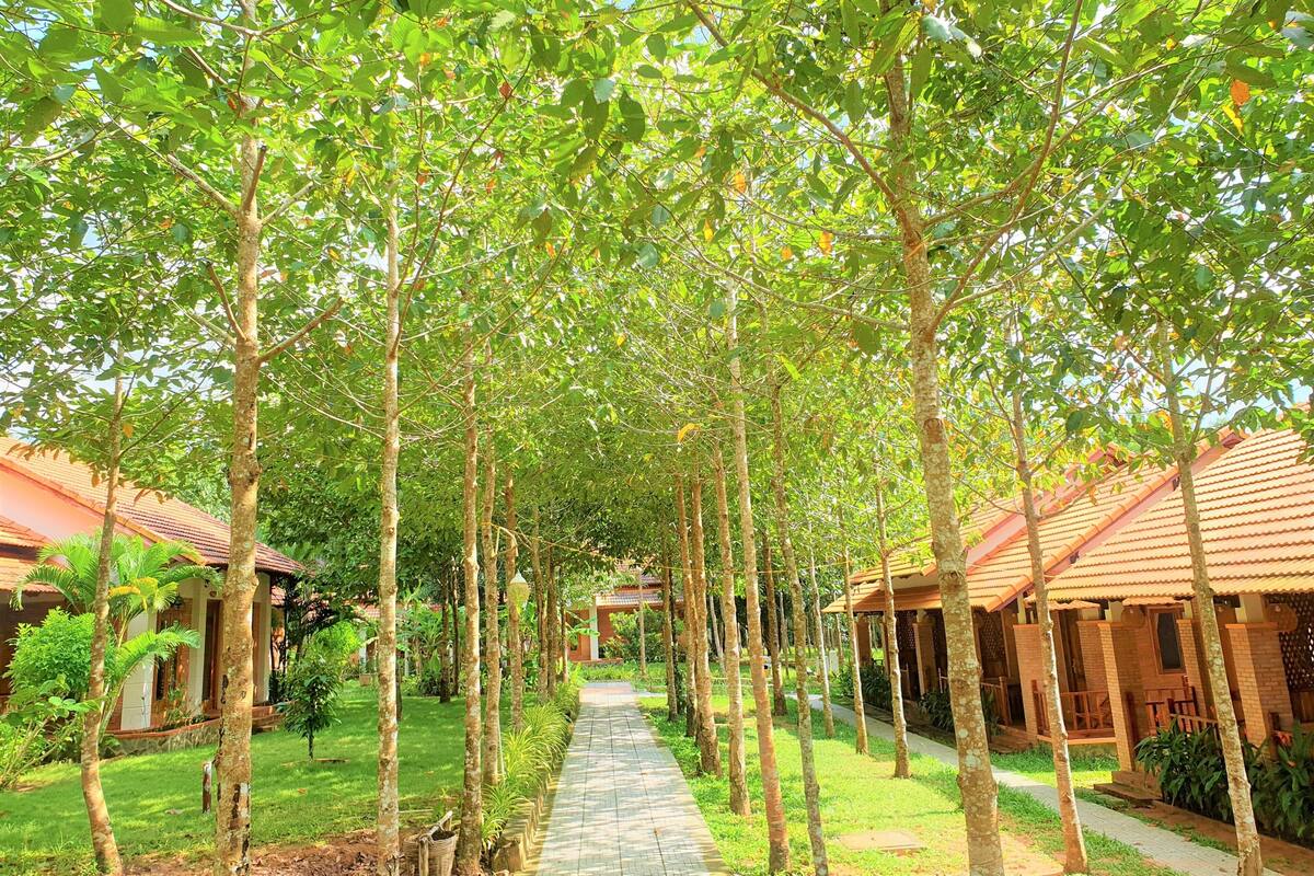 A pathway lined with trees leading to a row of buildings with red-tiled roofs.