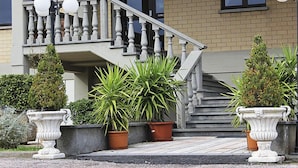 Entrada de hotel con escaleras, plantas en macetas y un letrero que dice "Hotel Il Foccoloare".