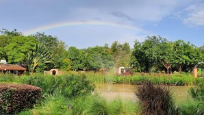 Un jardin luxuriant avec un étang, un pont et un arc-en-ciel.