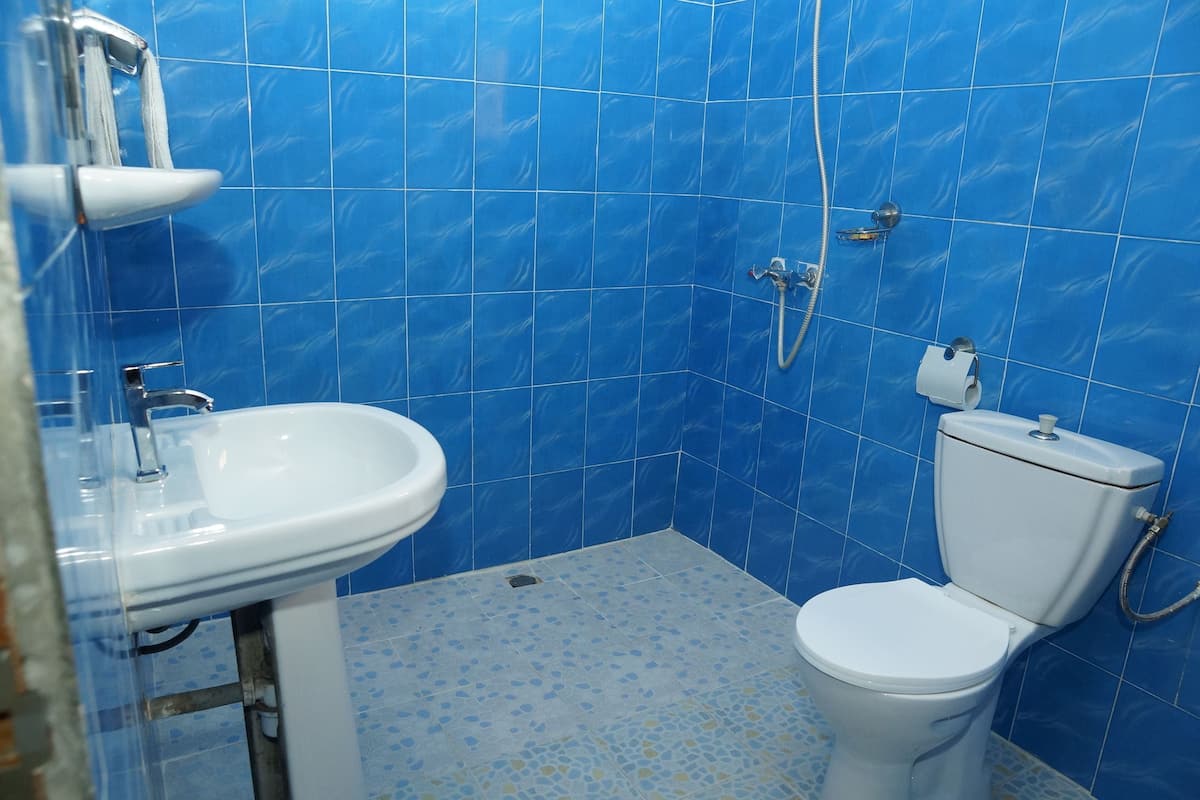 shower, free toiletries, bidet, towels