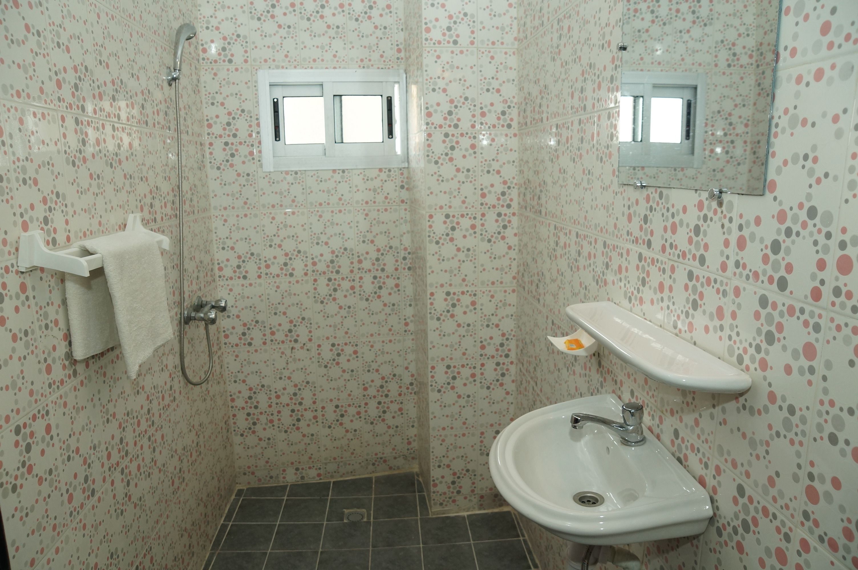 standard single room, 1 double bed | bathroom | shower, free toiletries, bidet, towels