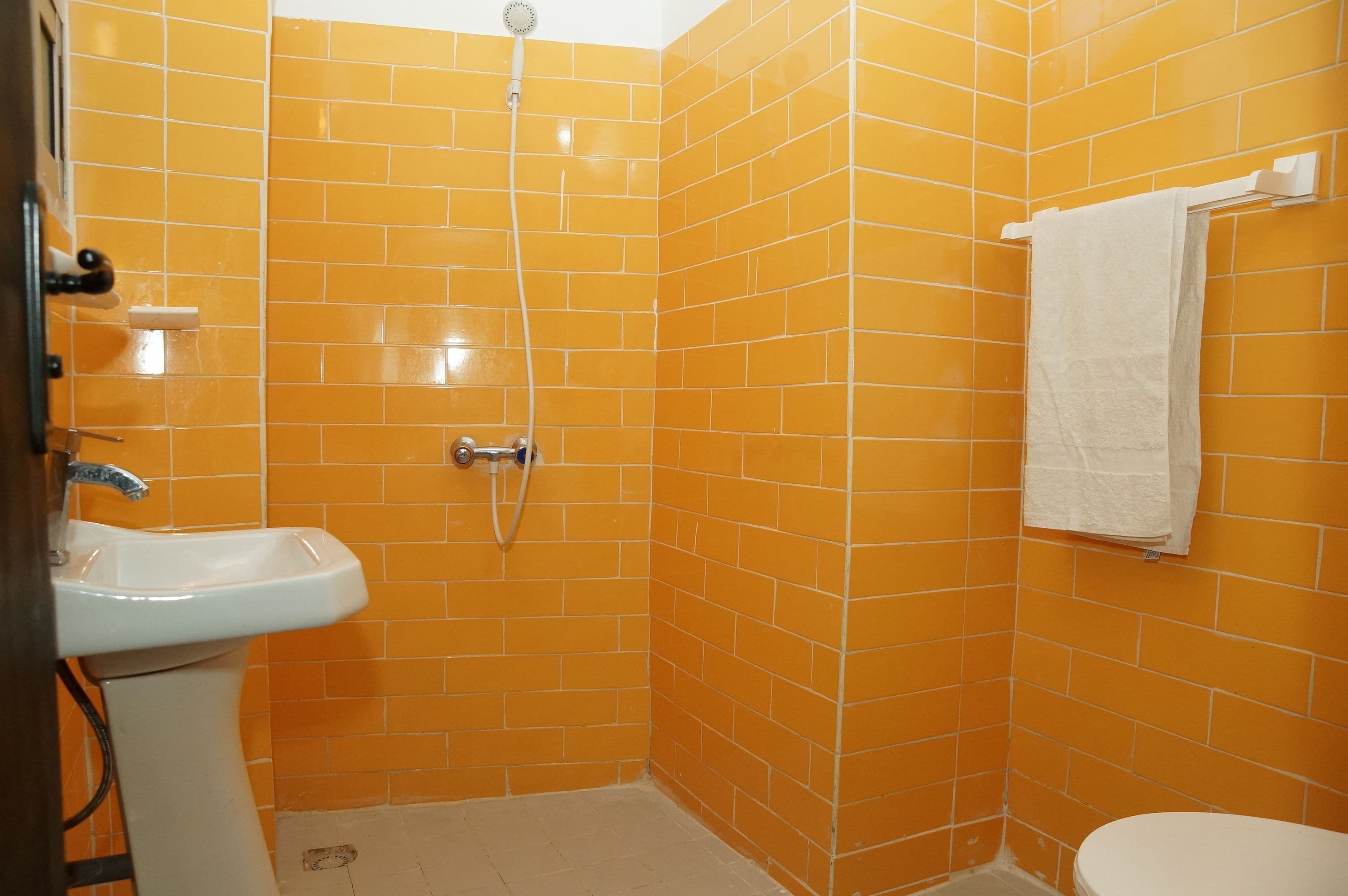 shower, free toiletries, bidet, towels