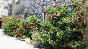 A stone building with a satellite dish, surrounded by lush greenery and flowering plants.