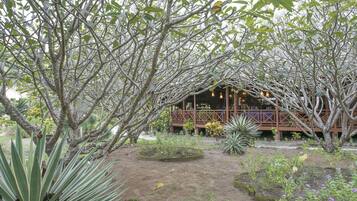 Jardín