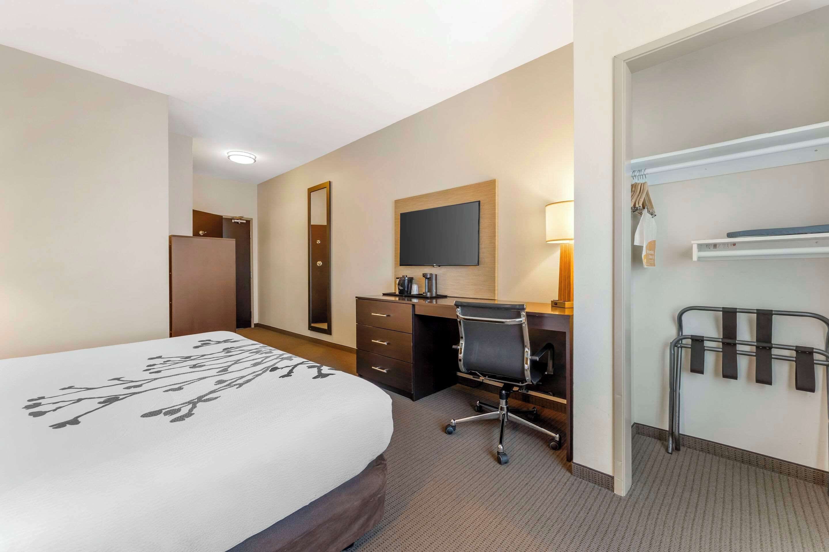 A hotel room with a large bed, a desk with a chair, a television, a mirror, and a coat rack.
