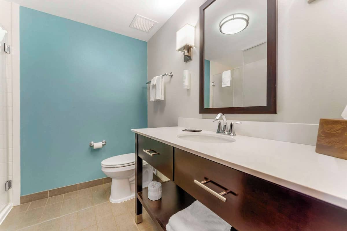 free toiletries, hair dryer, towels, soap