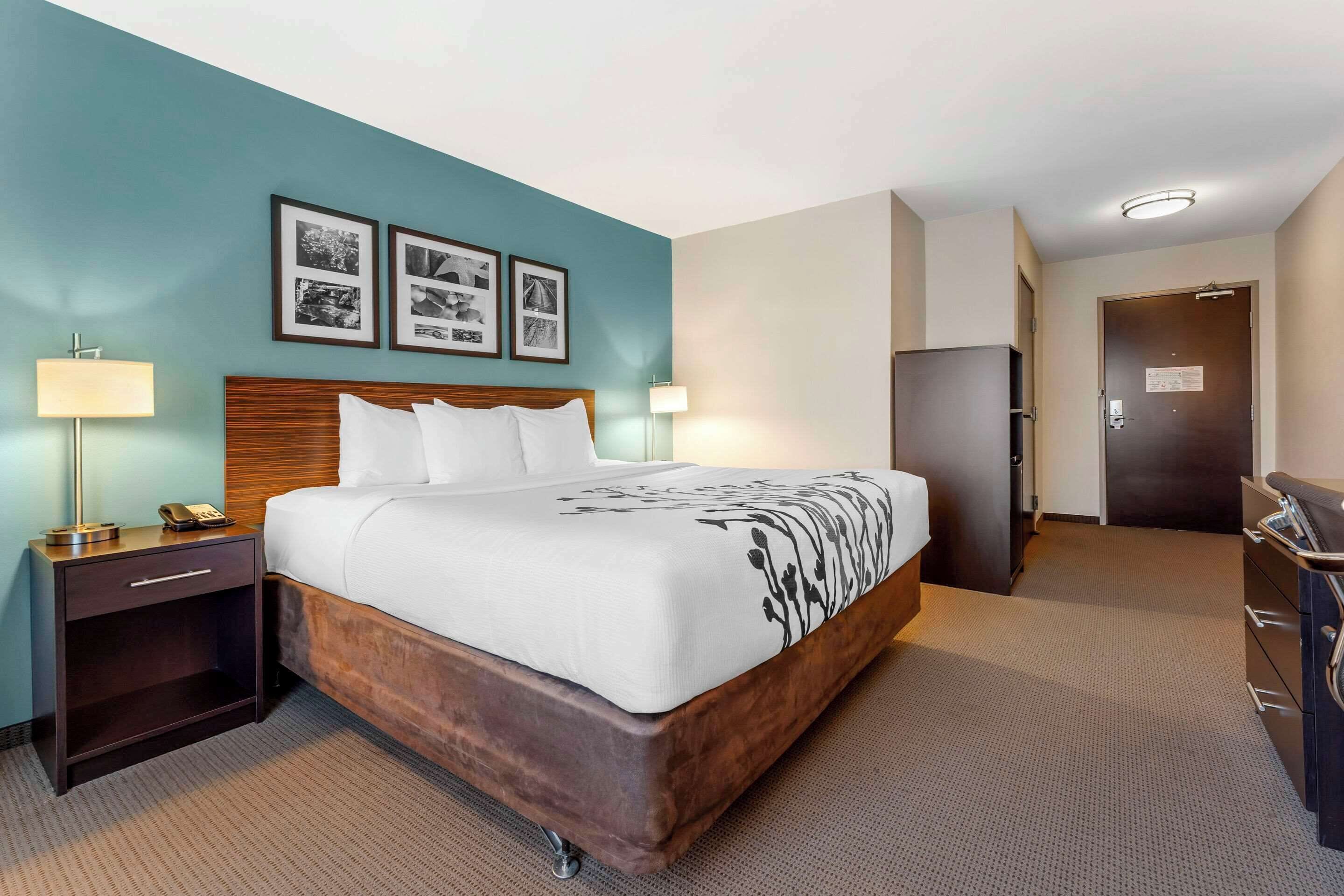 A hotel room with a wooden bed, a nightstand with a lamp, a dresser, and a door to the bathroom.