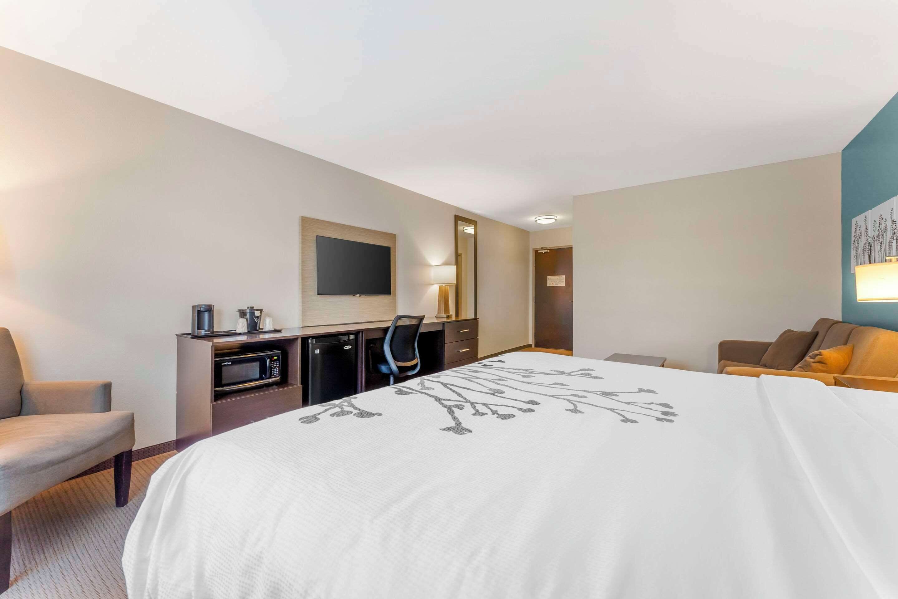 suite, 1 king bed with sofa bed, non smoking | pillow-top beds, desk, blackout curtains, iron/ironing board