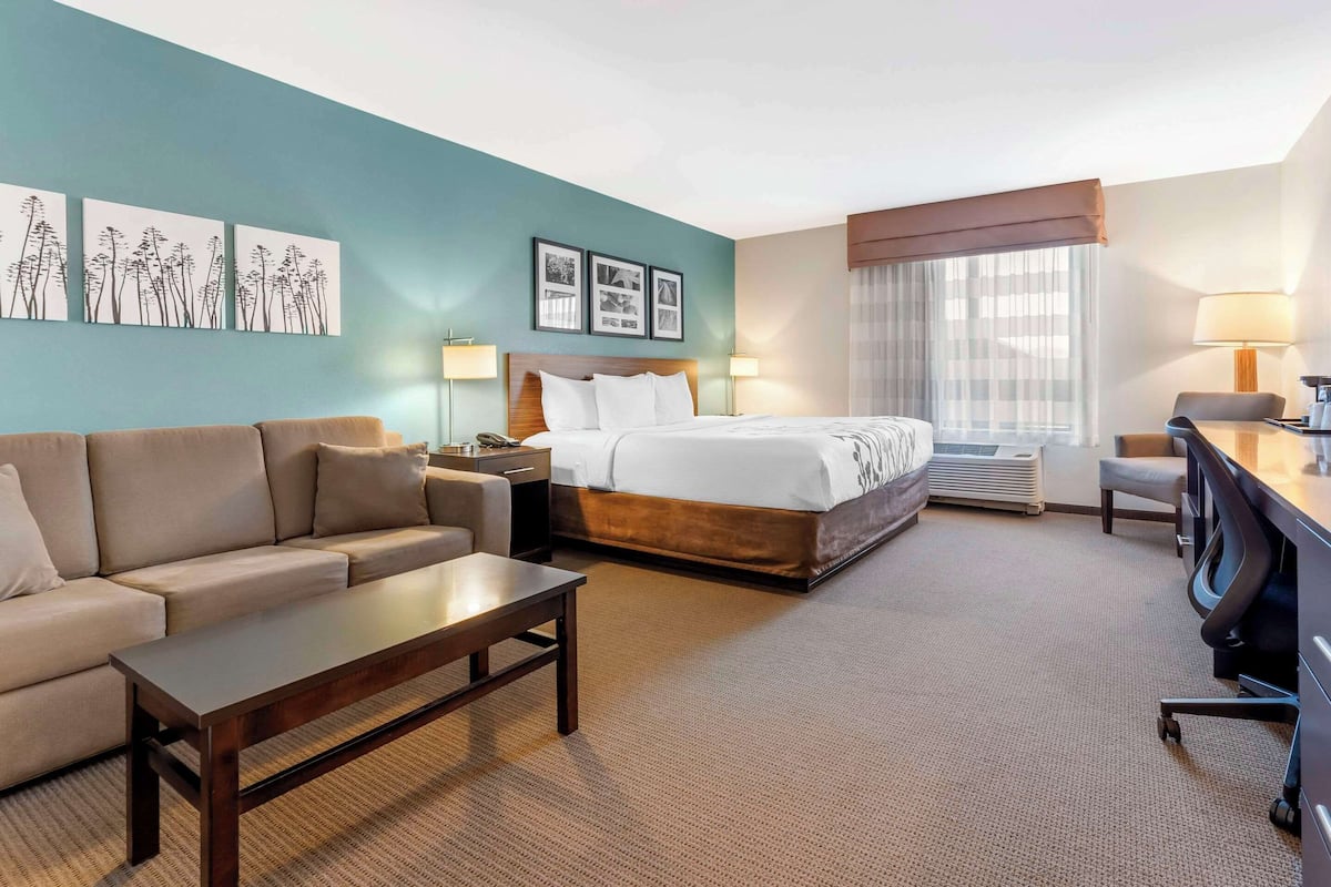 A hotel room with a bed, a sofa, a desk, and a chair. There are two lamps, a window with curtains, and artwork on the wall.