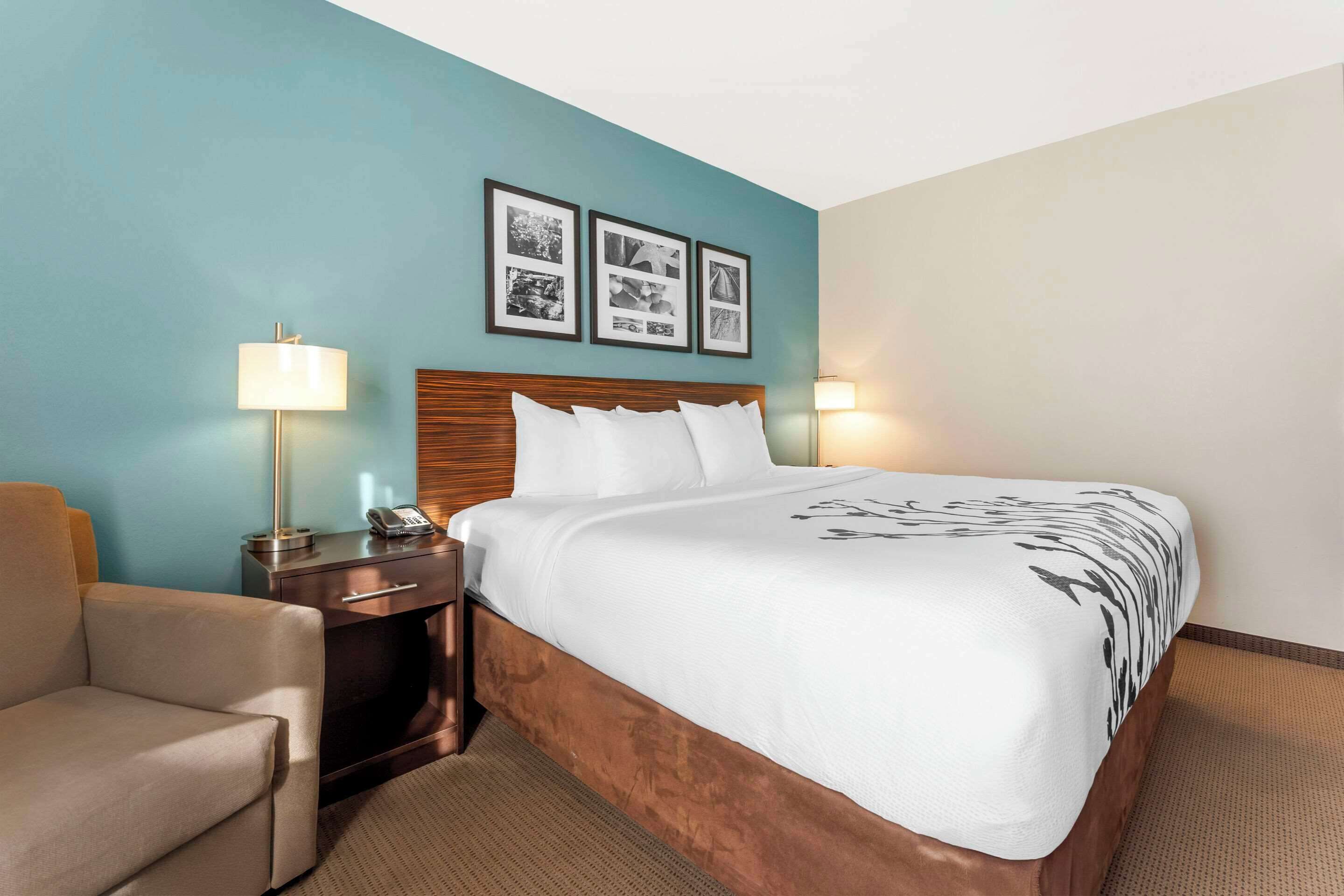 A hotel room with a large bed, a desk, a chair, and a nightstand. There are three framed pictures on the wall above the bed.