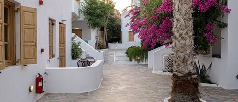 A narrow stone-paved courtyard with white buildings, wooden doors, and a palm tree with pink flowers.