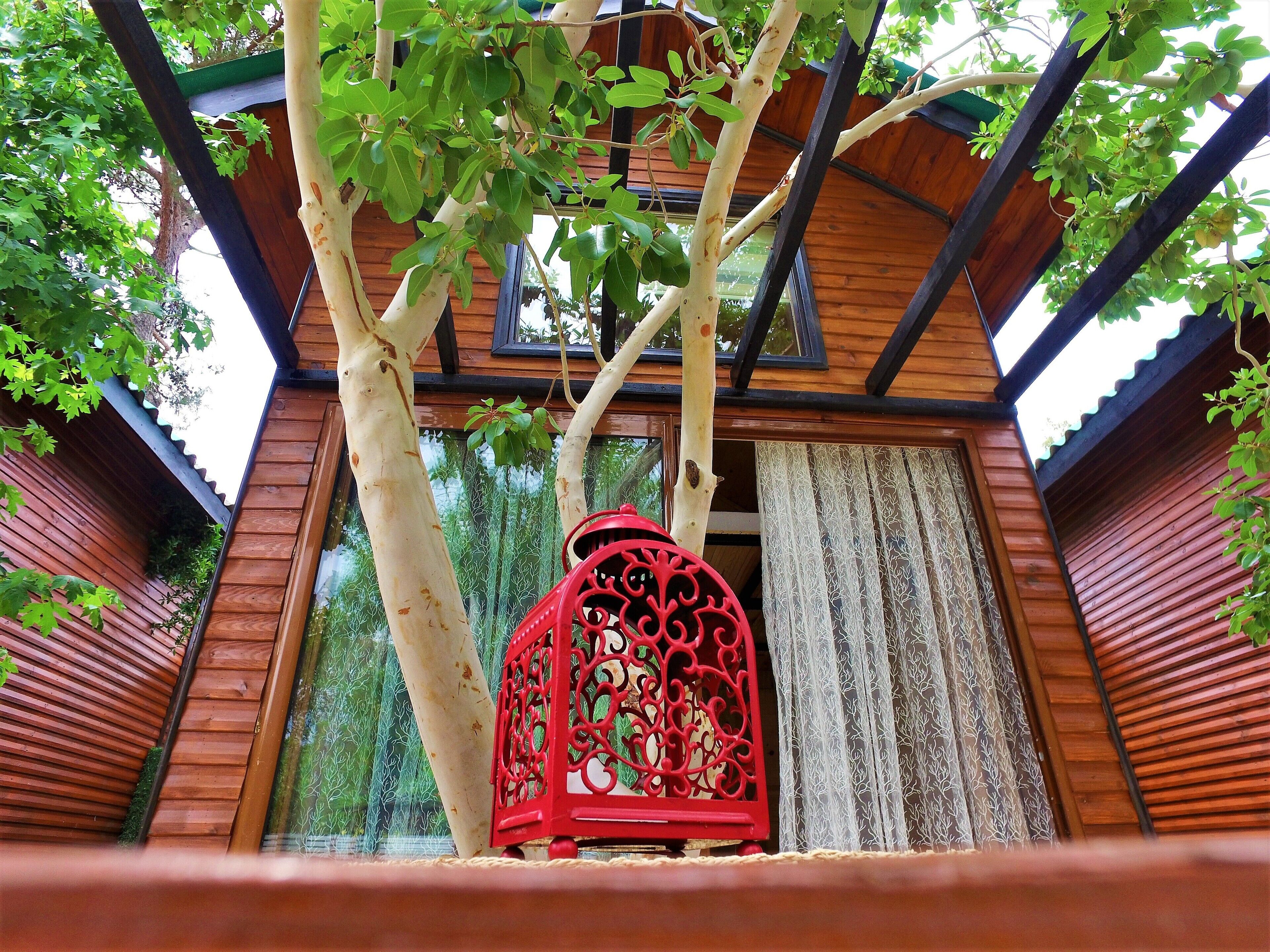 A traditional wooden structure with a red lantern, a tree, and a window with curtains.