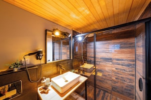 Shower, free toiletries, hair dryer, slippers