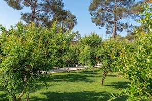 Pemandangan dari kamar
