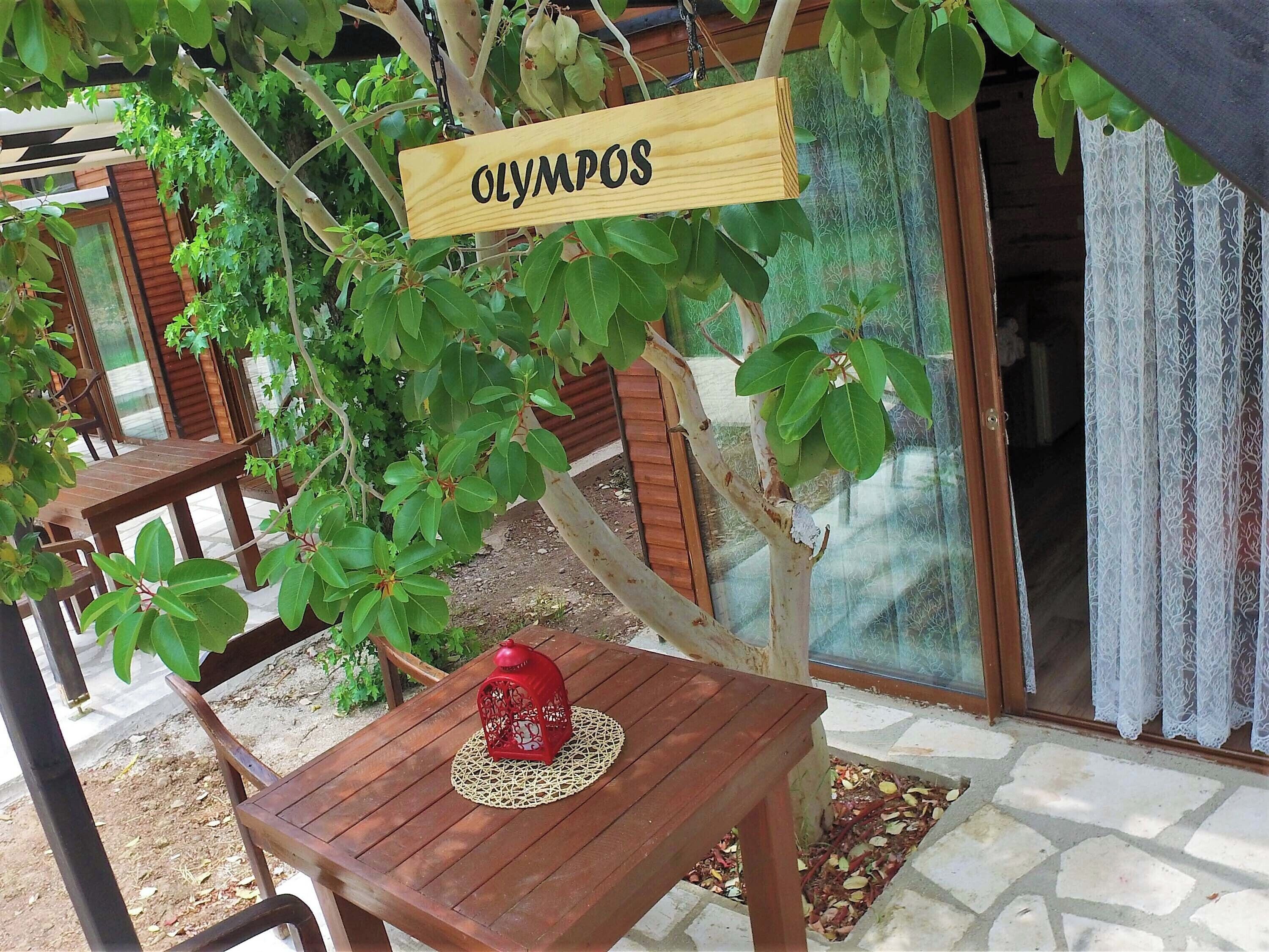 Ein Holztisch mit einem roten Laternenlicht, einem Holzschild mit der Aufschrift 'OLYMPOS' und einer Glastür mit Spitzenvorhängen.