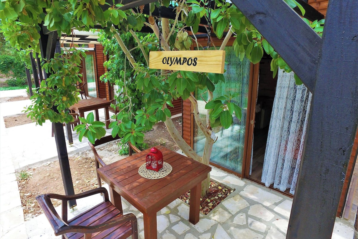 Deluxe Bungalow, Pool View | Desk, laptop workspace, free WiFi, bed sheets