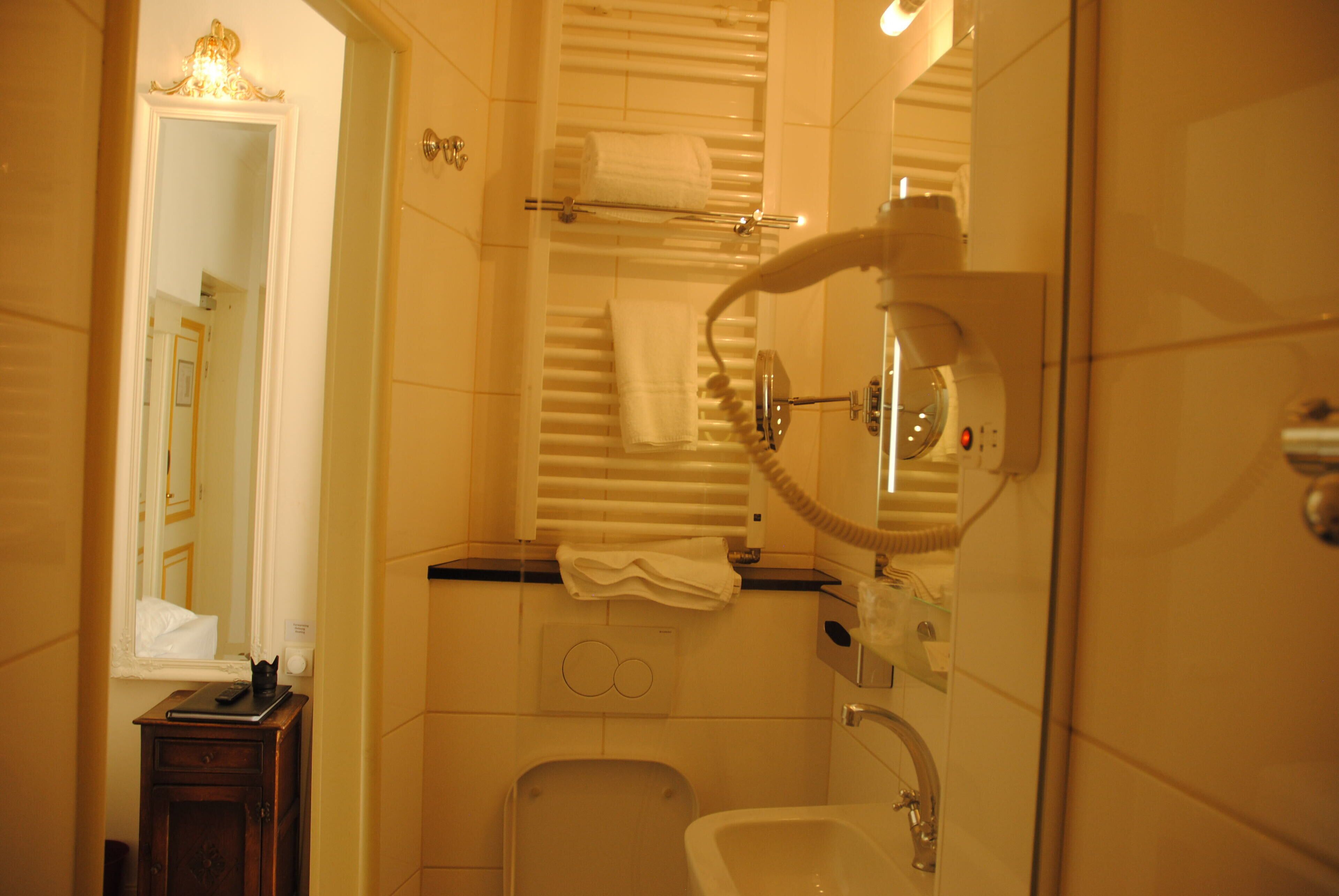 Une salle de bain équipée d’un lavabo, d’un miroir, d’un porte-serviettes et d’une douche avec un pommeau de douche amovible.