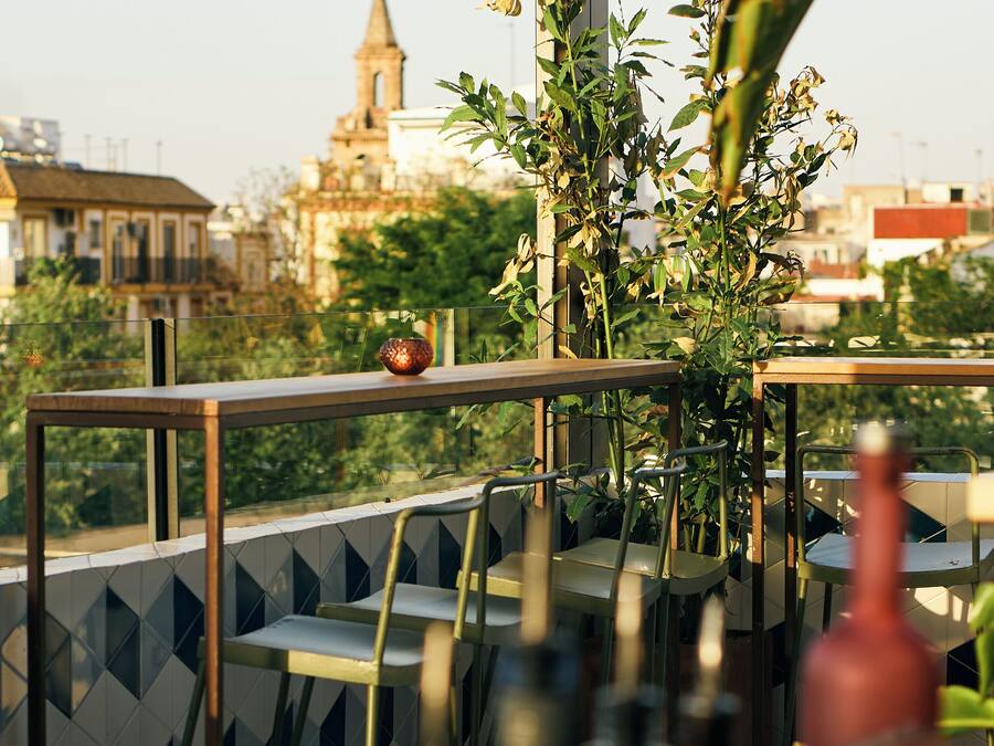 Terraza en la azotea