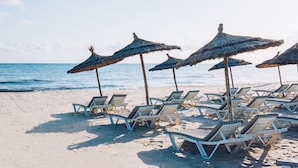 Una playa con filas de tumbonas y sombrillas de paja.